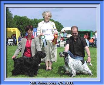 vanersborg 2003